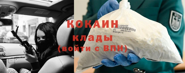 ПСИЛОЦИБИНОВЫЕ ГРИБЫ Аркадак