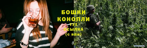 apvp Арсеньев