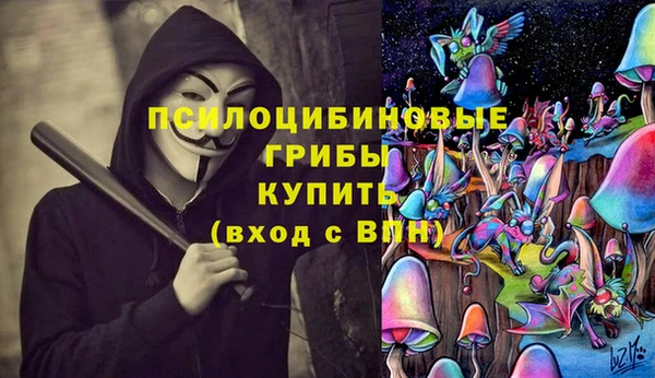 apvp Арсеньев