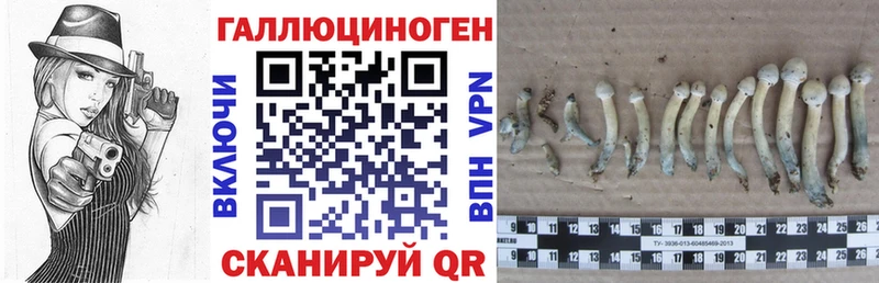 где продают наркотики  Сортавала  Псилоцибиновые грибы Psilocybe 